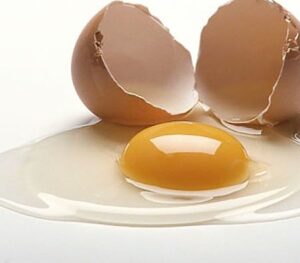 فواید تخم مرغ برای بدن