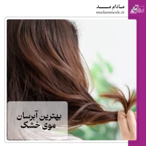تصویر شاخص بهترین آبرسان موی خشک